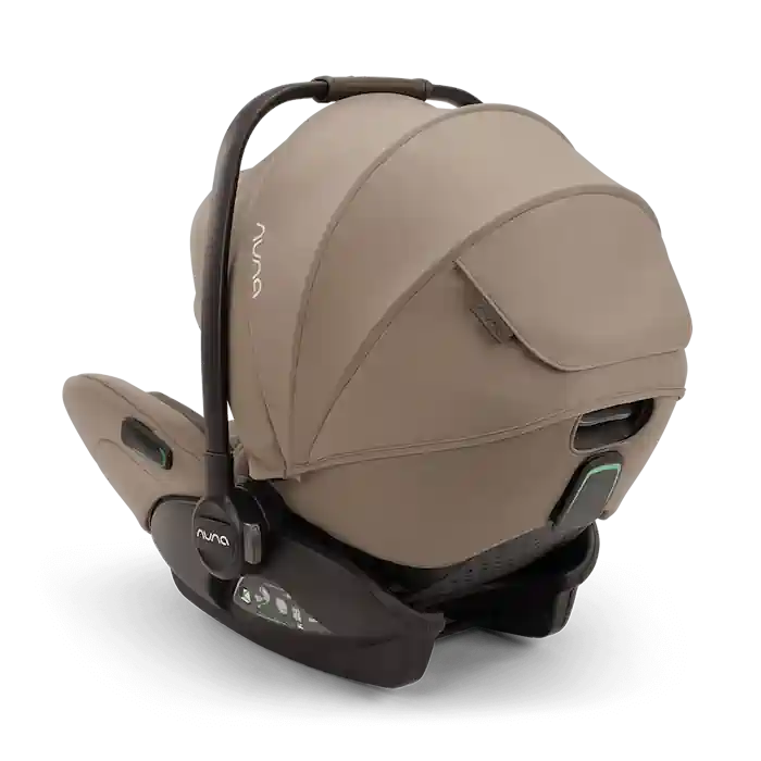 Nuna Arra Flex Infant Carrier